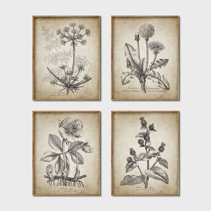 Live Plant Fertilizer - Antieke Botanische Posters En Prints Rustieke