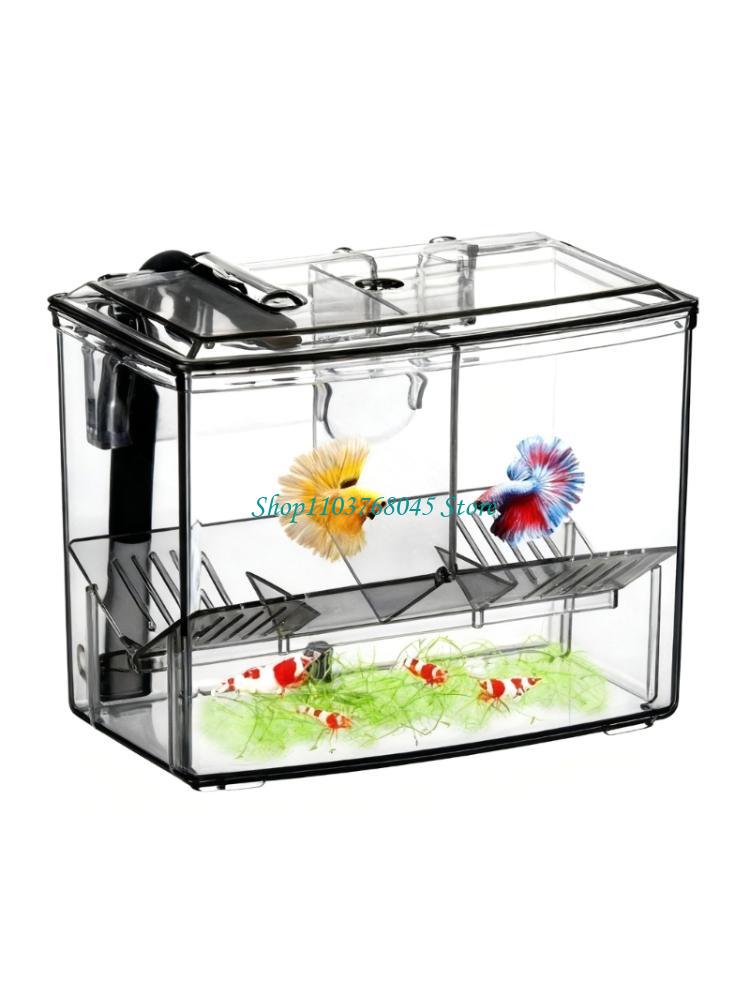 Box Fish In Aquarium - R53F Externe kweektanks voor aquarium Babyviskwekerij