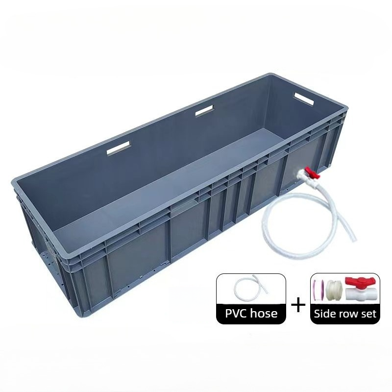 Box Fish In Aquarium - Groot terrarium voor schildpadden met drainage,