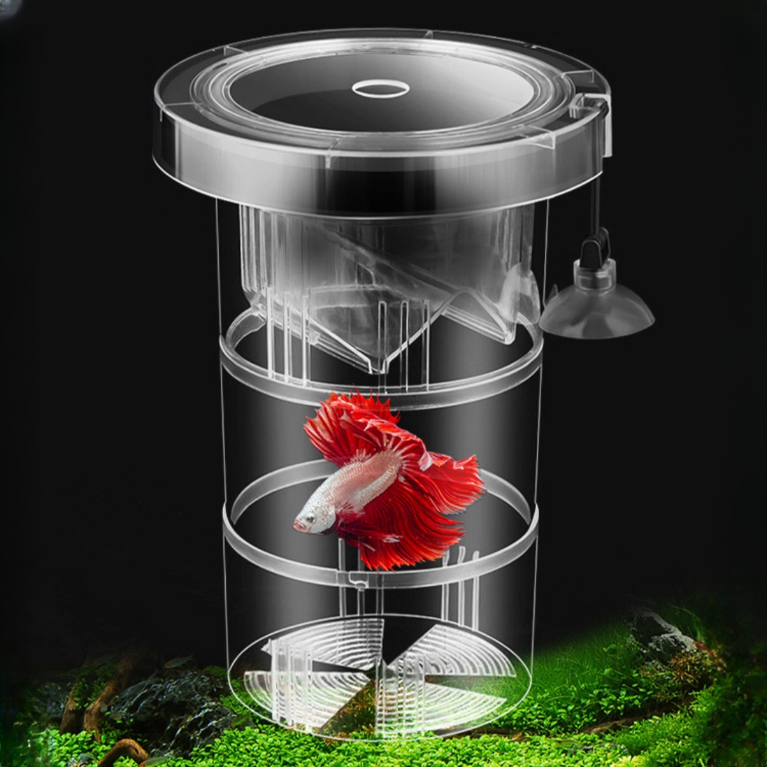 Box Fish In Aquarium - Acryl Drijvende Vis Fokken Isolatie Box