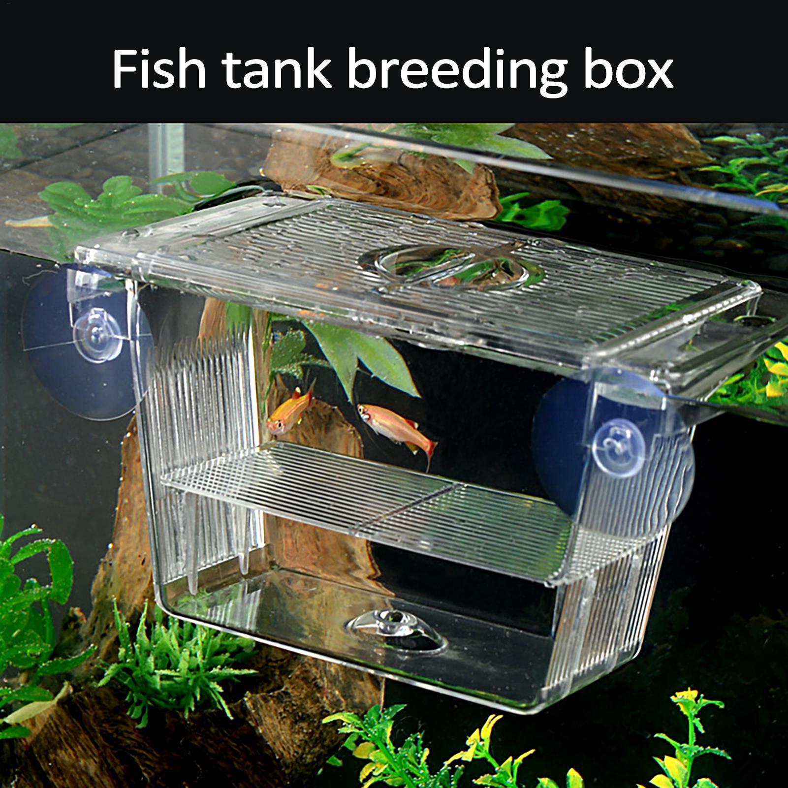 Aquarium Fish In Bowl - Kweekbak voor aquarium, transparante visisolatiebox voor