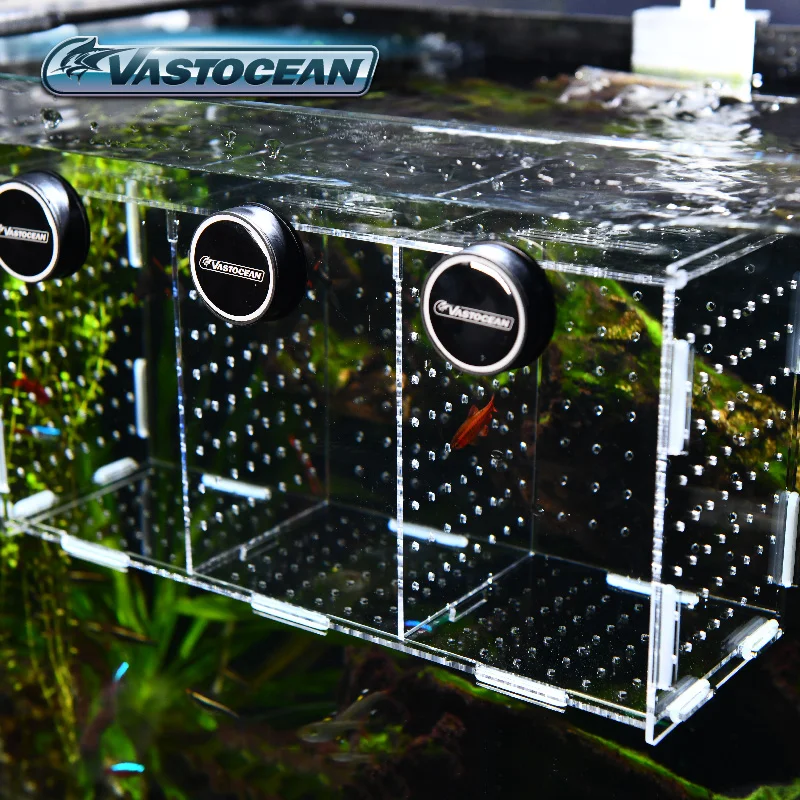 VASTOCEAN Aquarium Magnetische - Box Fish In Aquarium recensie en prijs