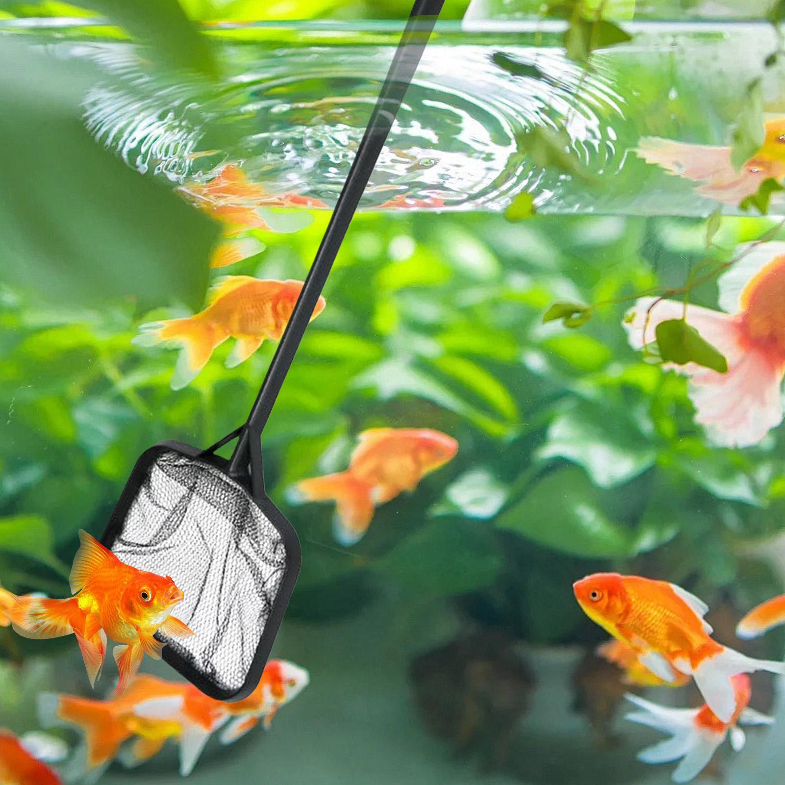 Zwembadnetten voor het reinige - Aquarium Fish Net recensie en prijs