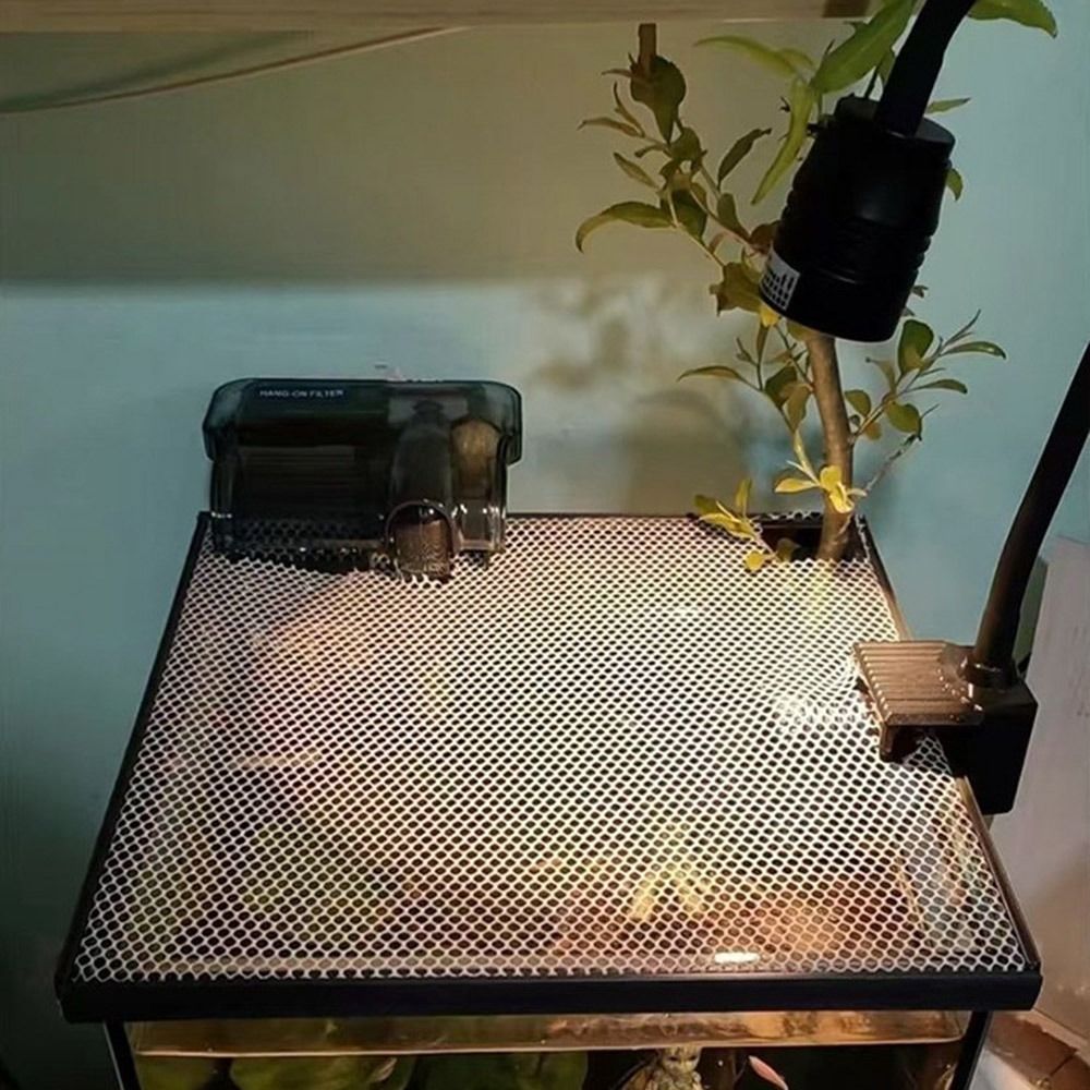 Stevige magnetische dekselafde - Aquarium Fish Net recensie en prijs