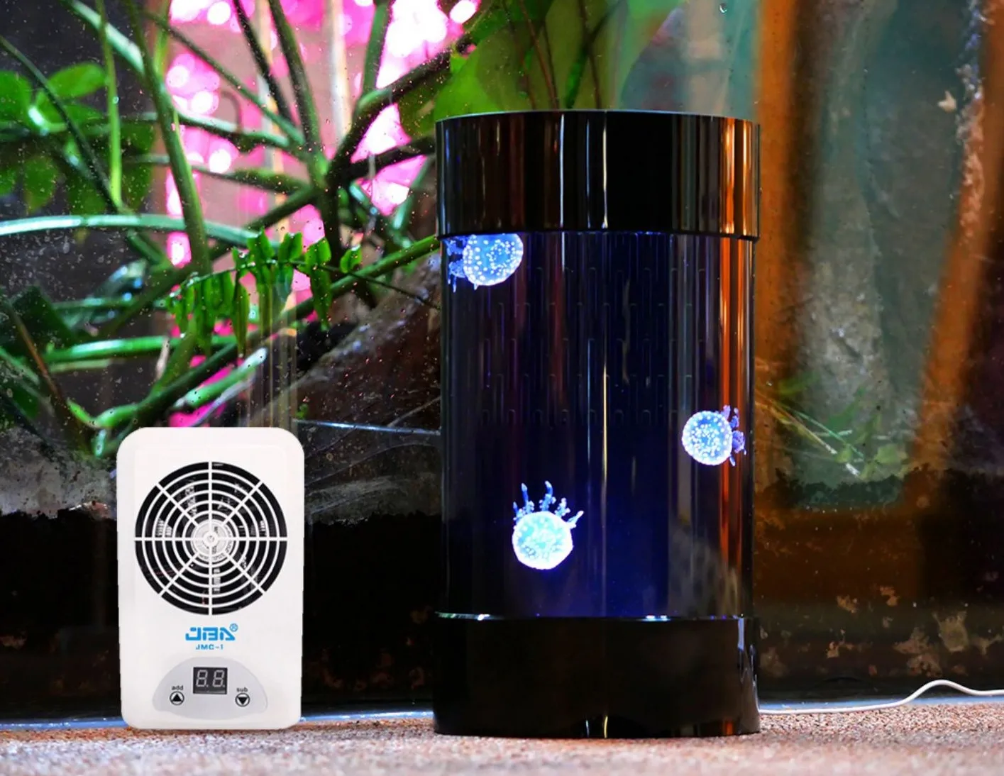 Beste Amazon Verkoop Kwallenba - Aquarium Fish Amazon recensie en prijs