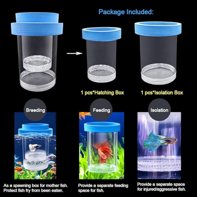 Drijvende Vis Fokken Isolatie  - Box Fish In Aquarium recensie en prijs