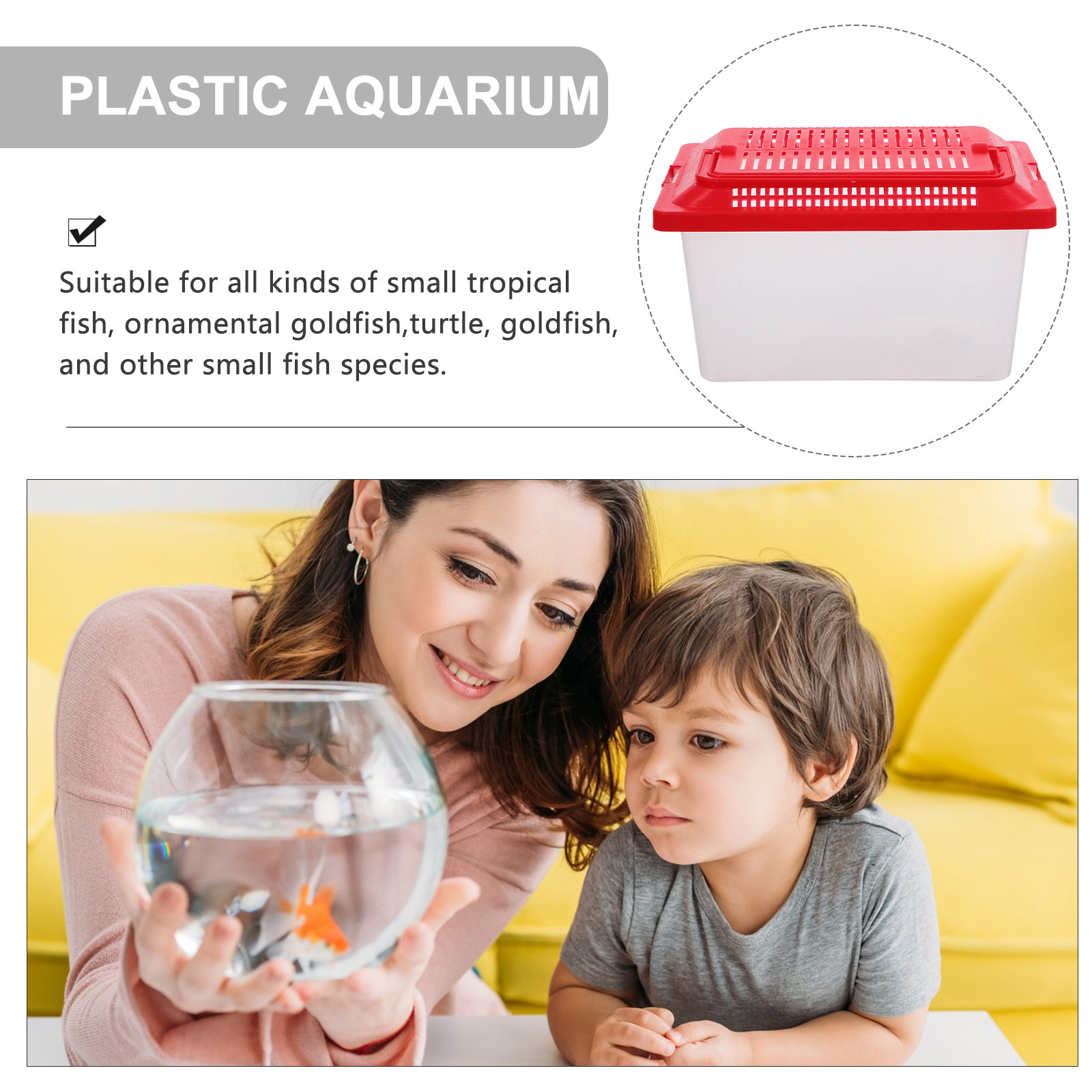 Draagbare Transparante Schildp - Box Fish In Aquarium recensie en prijs