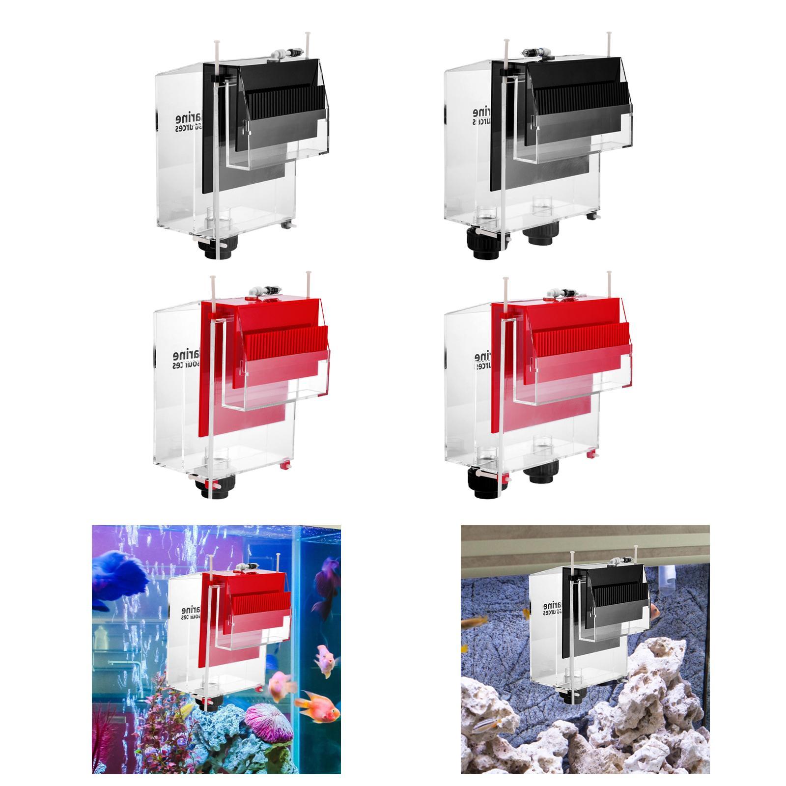 Overloopdoos Voor Aquaria Aqua - Box Fish In Aquarium recensie en prijs