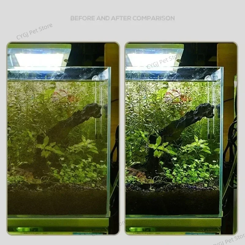 Aquariumreinigingsgereedschap  - Algae Scraper Blade recensie en prijs