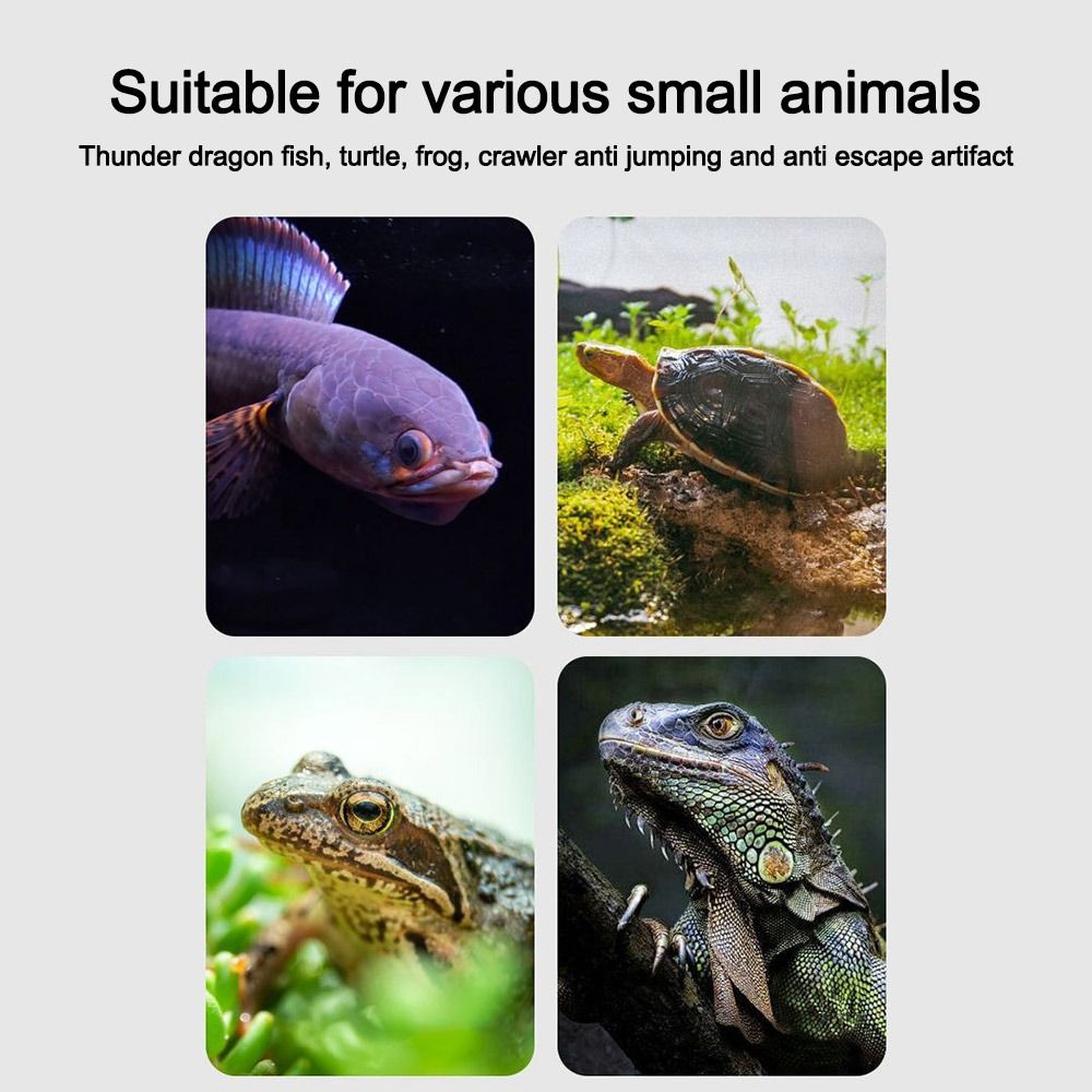 Duurzame Magnetische Aquarium  - Aquarium Fish Net recensie en prijs