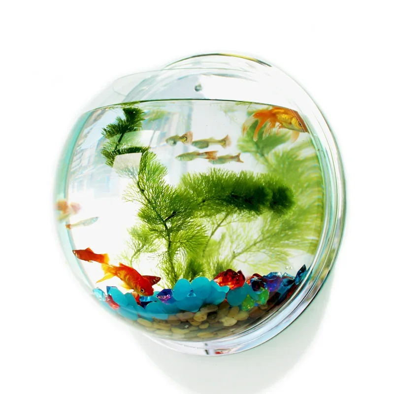 Pinsjar Acryl Viskom Muuropkno - Aquarium Fish In Bowl recensie en prijs