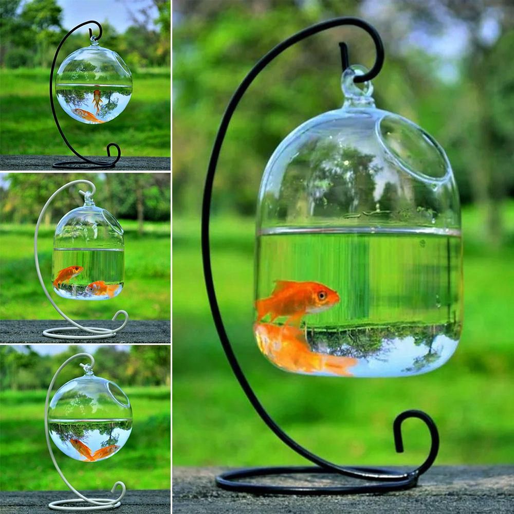 Aquariumdecoratie wanddecorati - Aquarium Fish In Bowl recensie en prijs