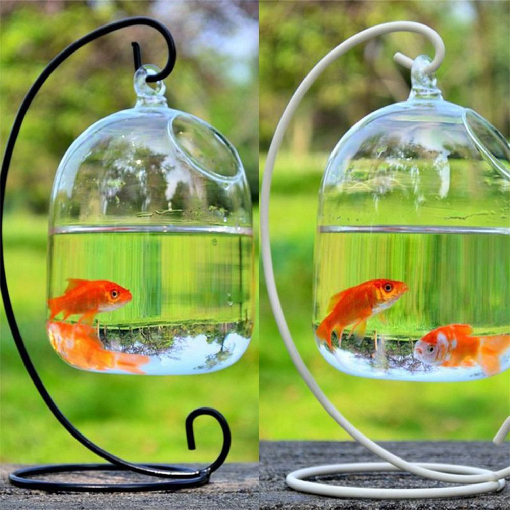 Aquariumdecoratie wanddecorati - Aquarium Fish In Bowl recensie en prijs