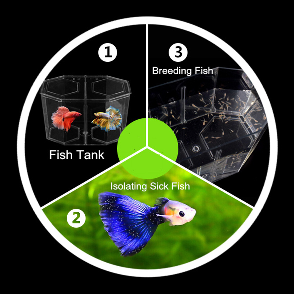 Acryl Twee Splits Guppy Aquari - Aquarium Fish In Bowl recensie en prijs