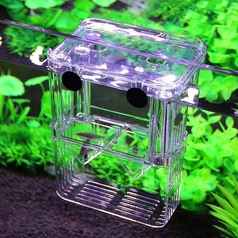 Multifunctioneel Visaquarium H - Aquarium Fish In Bowl recensie en prijs