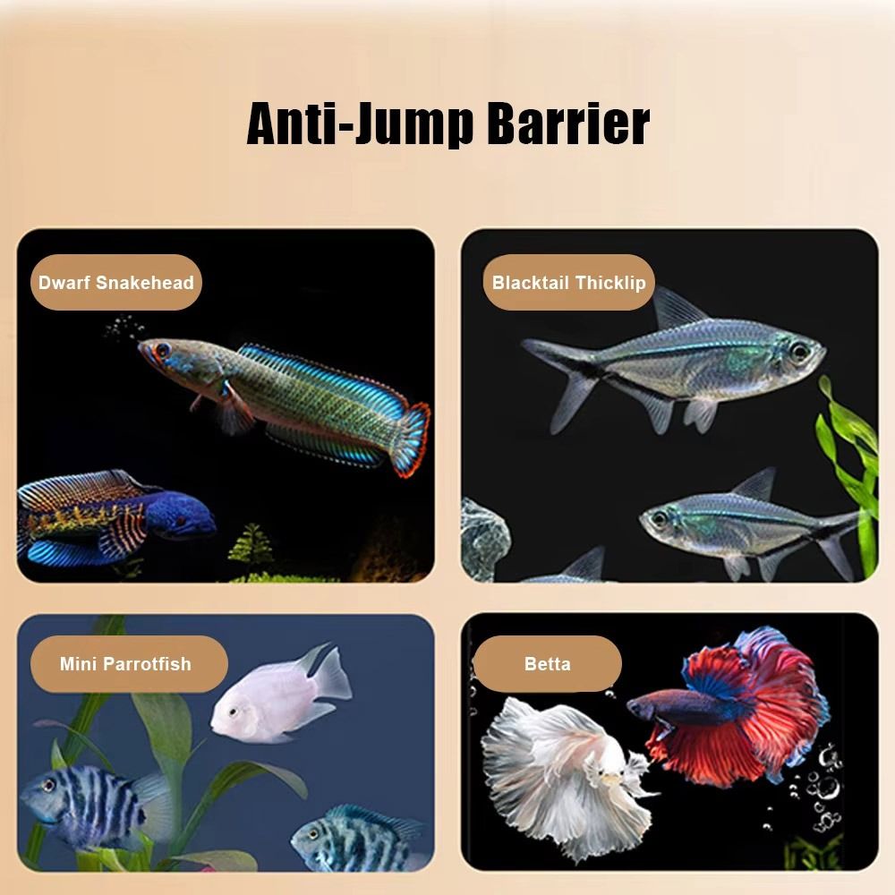 Duurzame magnetische aquariumd - Aquarium Fish Net recensie en prijs
