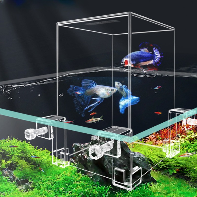 Creatieve Aquariumtanks Negati - Aquarium Fish In Bowl recensie en prijs