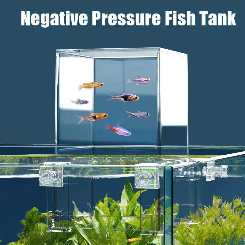 Creatieve Aquariumtanks Negati - Aquarium Fish In Bowl recensie en prijs