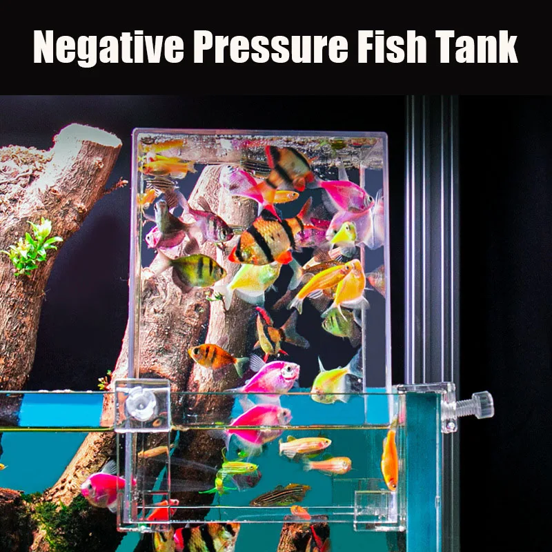 Creatieve Aquariumtanks Negati - Aquarium Fish In Bowl recensie en prijs