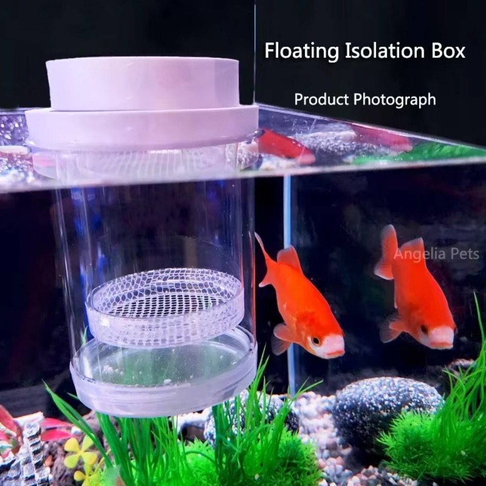 Plastic Drijvende Vis Fokken I - Box Fish In Aquarium recensie en prijs