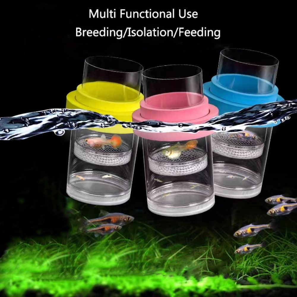 Plastic Drijvende Vis Fokken I - Box Fish In Aquarium recensie en prijs