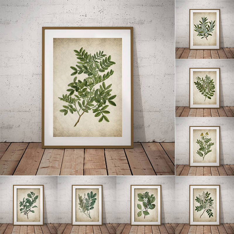 Vintage Groen Blad Botanische  - Live Plant Fertilizer recensie en prijs
