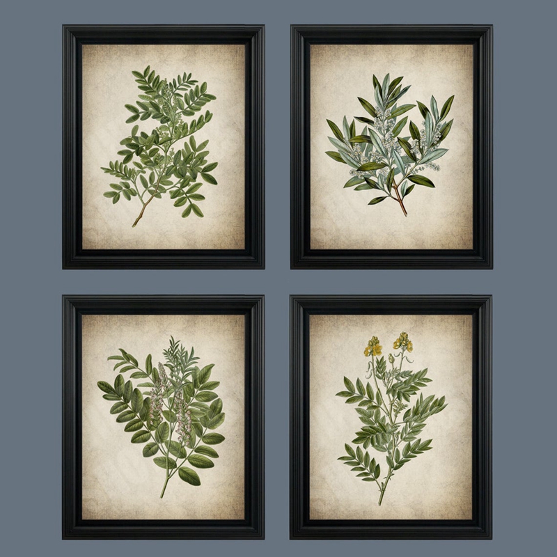 Vintage Groen Blad Botanische  - Live Plant Fertilizer recensie en prijs