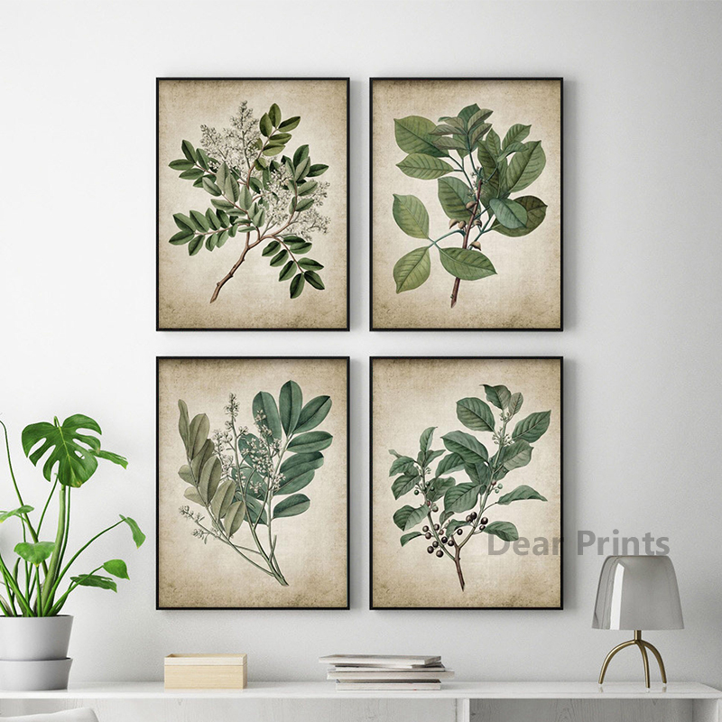 Vintage Groen Blad Botanische  - Live Plant Fertilizer recensie en prijs