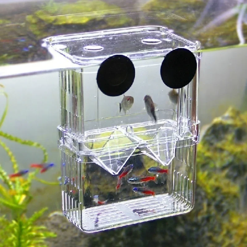 Multifunctioneel visaquarium,  - Aquarium Fish In Bowl recensie en prijs