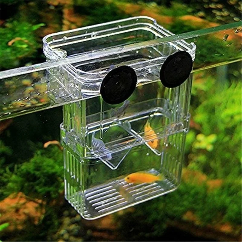 Multifunctioneel visaquarium,  - Aquarium Fish In Bowl recensie en prijs