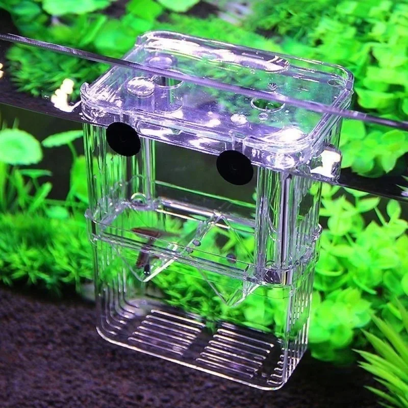 Multifunctioneel visaquarium,  - Aquarium Fish In Bowl recensie en prijs