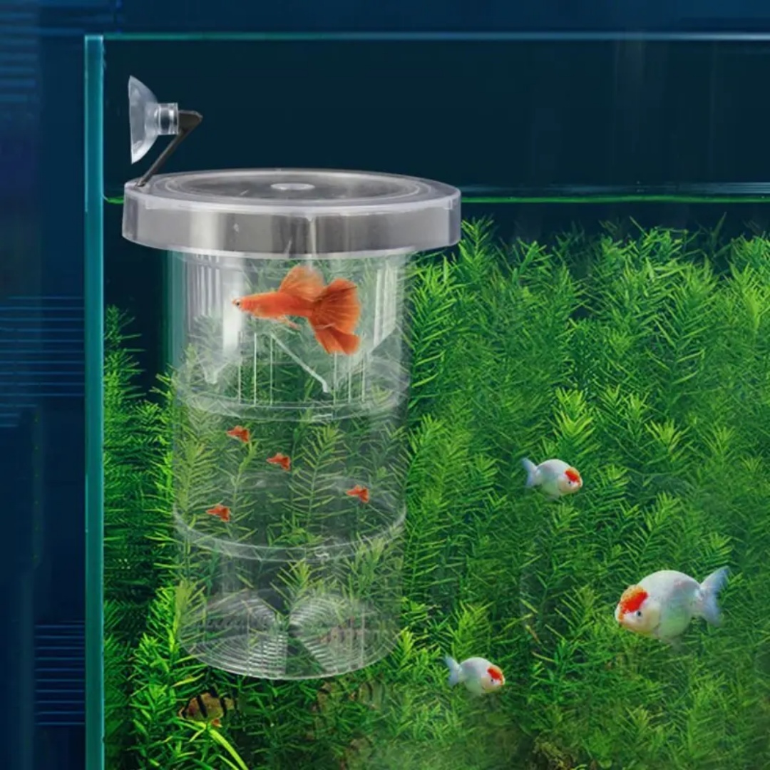 Acryl Drijvende Vis Fokken Iso - Box Fish In Aquarium recensie en prijs