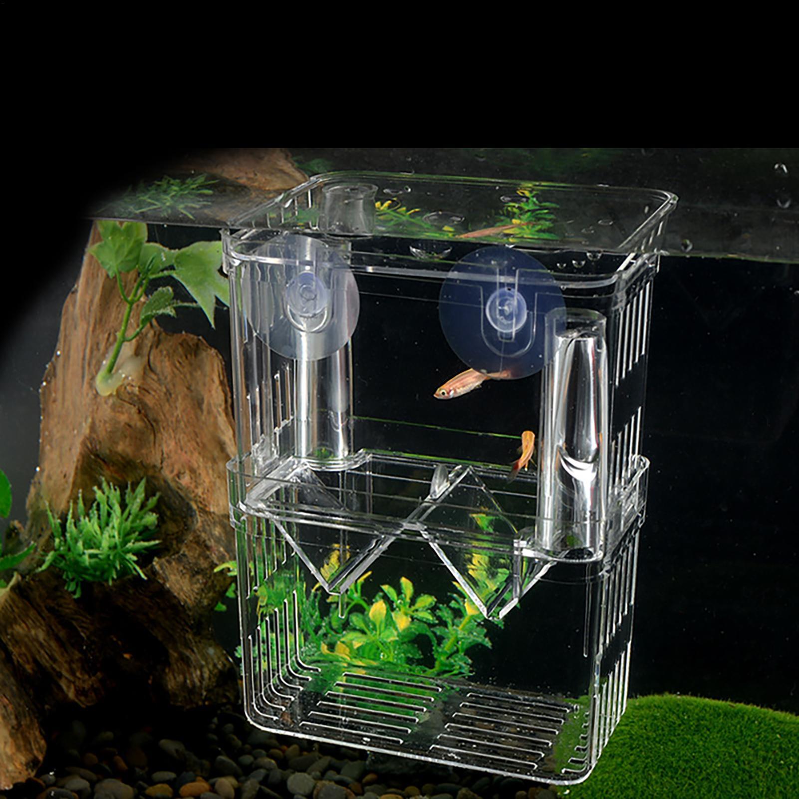 Kweekbak voor aquarium, transp - Aquarium Fish In Bowl recensie en prijs