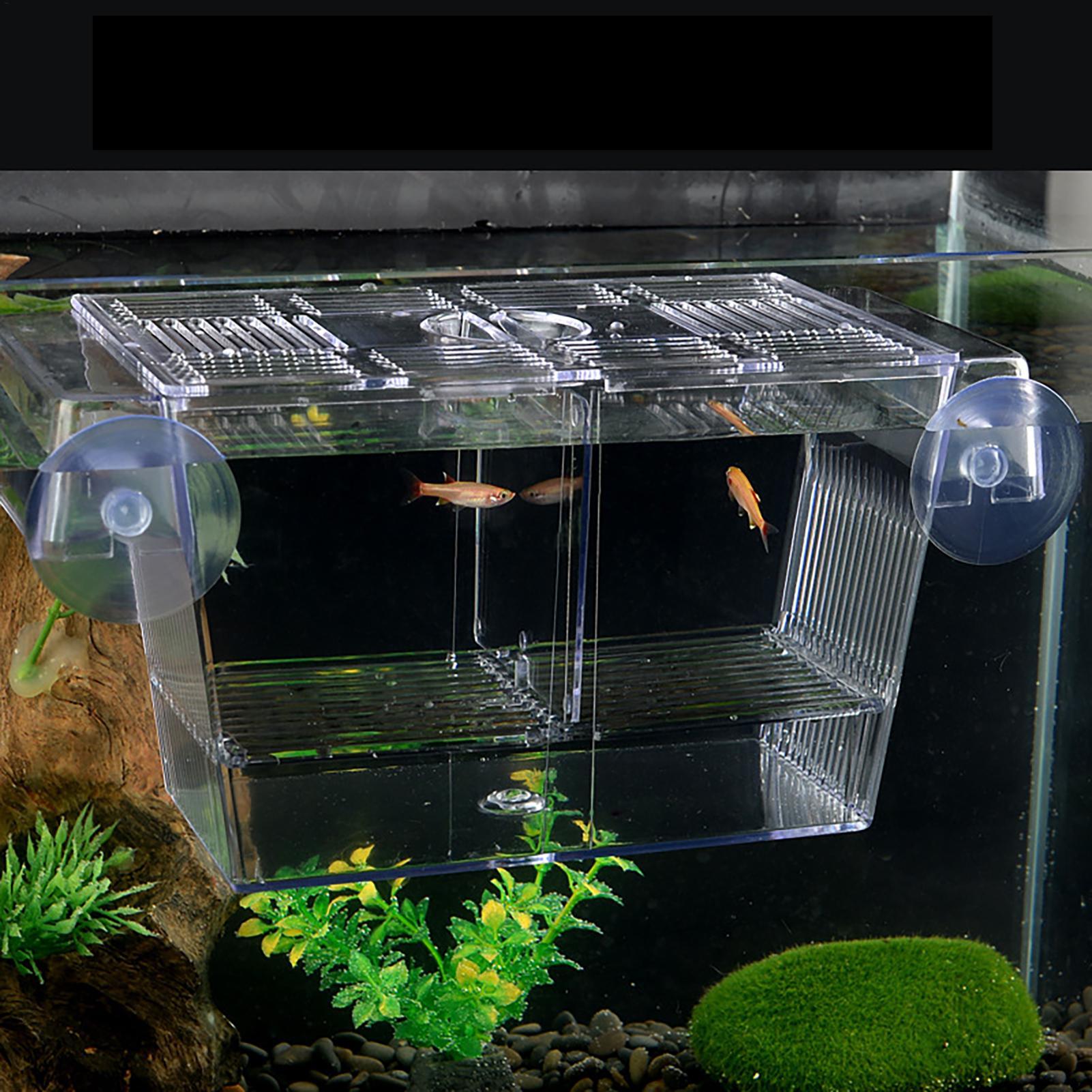 Kweekbak voor aquarium, transp - Aquarium Fish In Bowl recensie en prijs