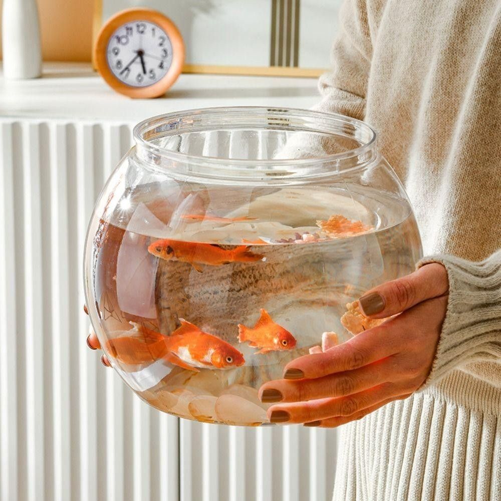 Nieuwe transparante aquarium r - Aquarium Fish In Bowl recensie en prijs
