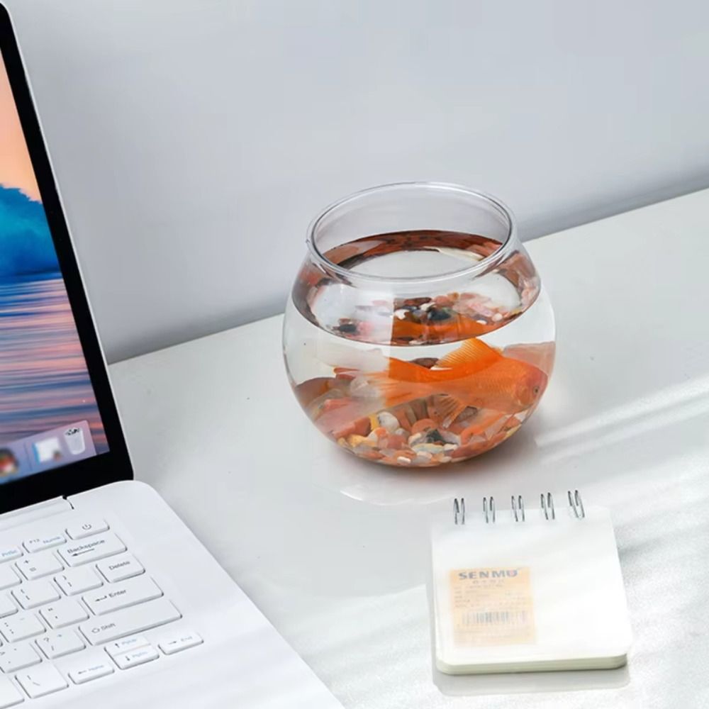 Nieuwe transparante aquarium r - Aquarium Fish In Bowl recensie en prijs