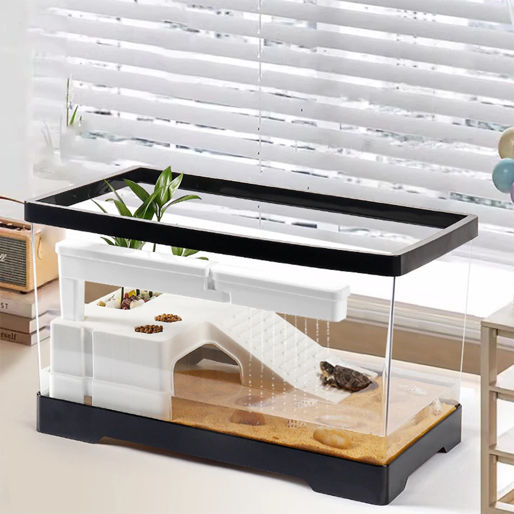 Grote transparante schildpadta - Box Fish In Aquarium recensie en prijs