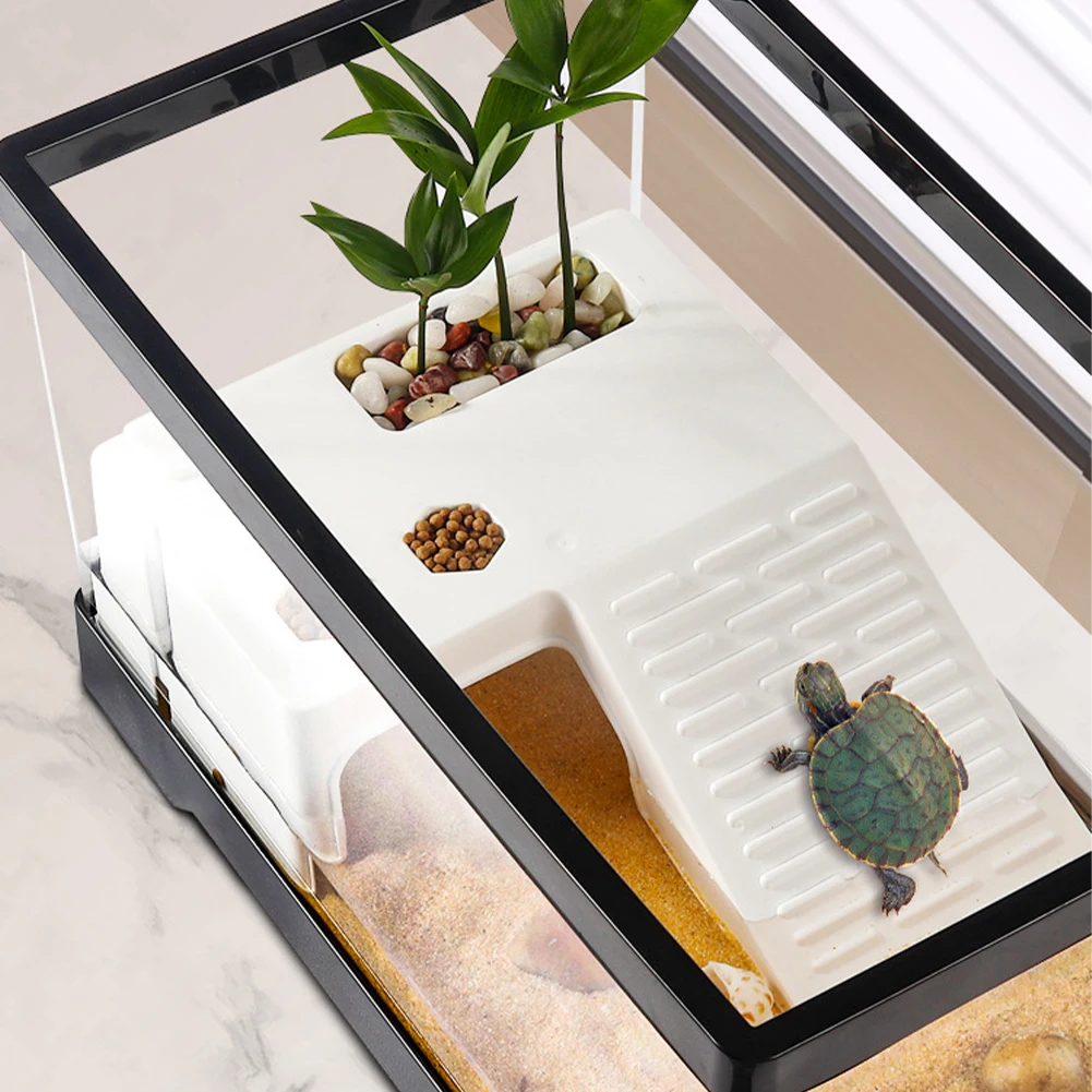 Grote transparante schildpadta - Box Fish In Aquarium recensie en prijs