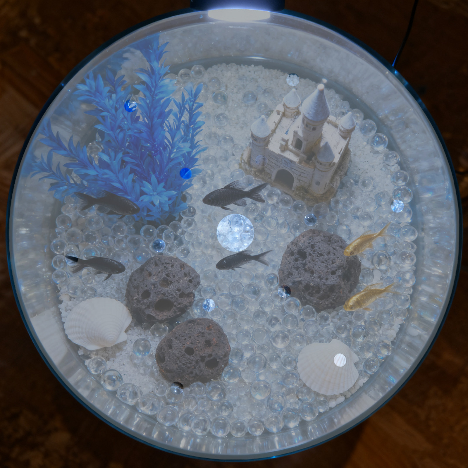 7 inch ronde acryl aquariumdek - Aquarium Fish In Bowl recensie en prijs